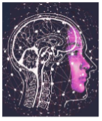 Hogan Assessments Takes a Groundbreaking Product to Market in Record Time Using Professional Scrum and Design Thinking