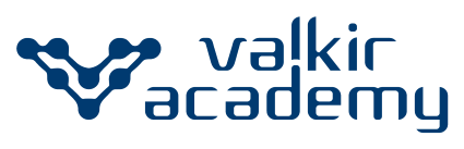 Valkir Academy Logo