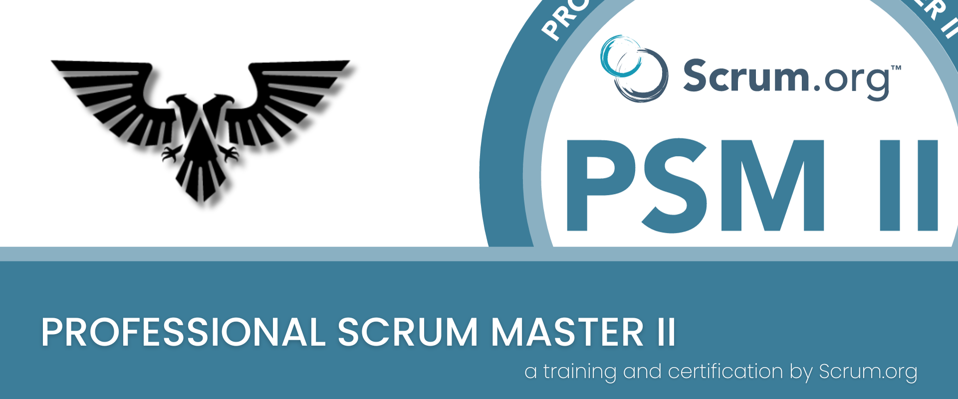 Professional Scrum Master II