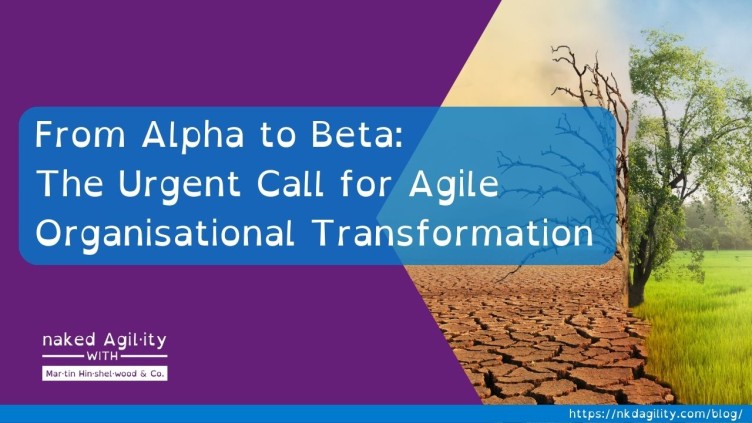 Alpha to Beta: The Urgent Call for Agile Organisational Transformation