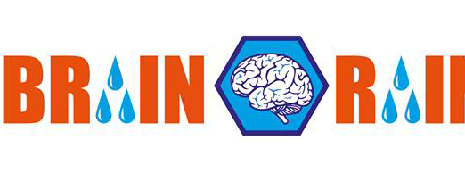 Brain Rain