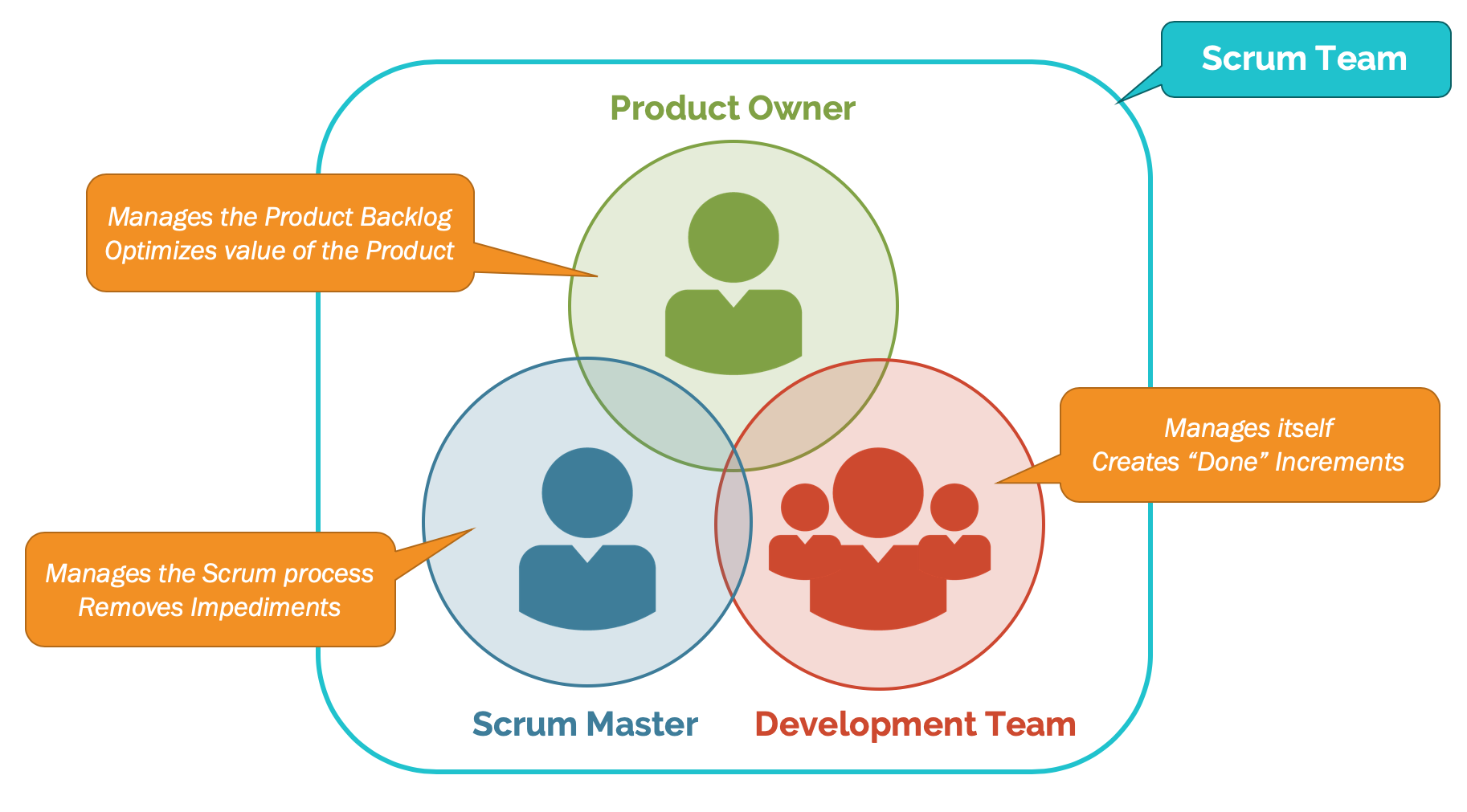 Scrum Team