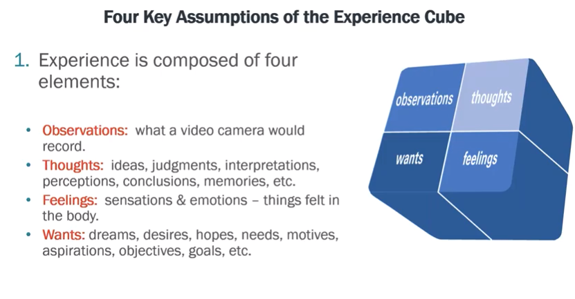 "experience cube"