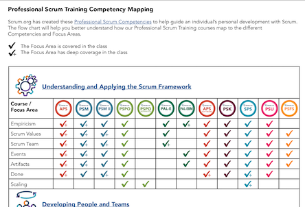 Professional Scrum Competency Example