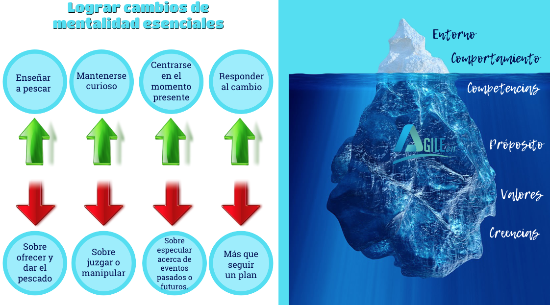 iceberg