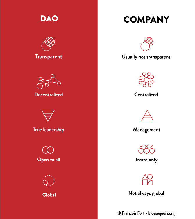 DAO Vs Company