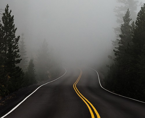 A road in the forest leading into fog