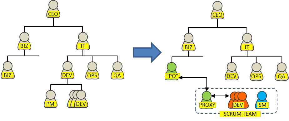 Functional organization to Scrum Teams