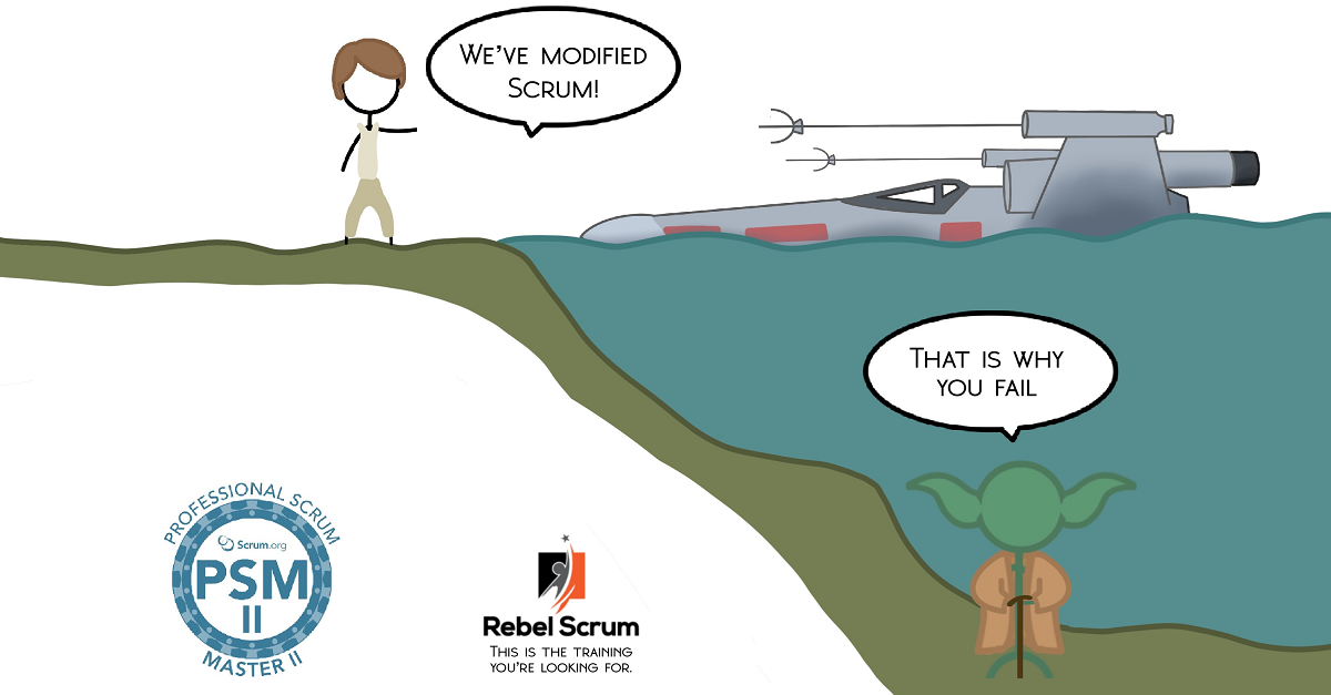 Professional Scrum Master II