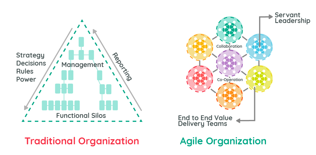 Traditional vs Agile Organizations