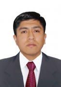 Profile picture for user Wilmer Anastacio Ynga