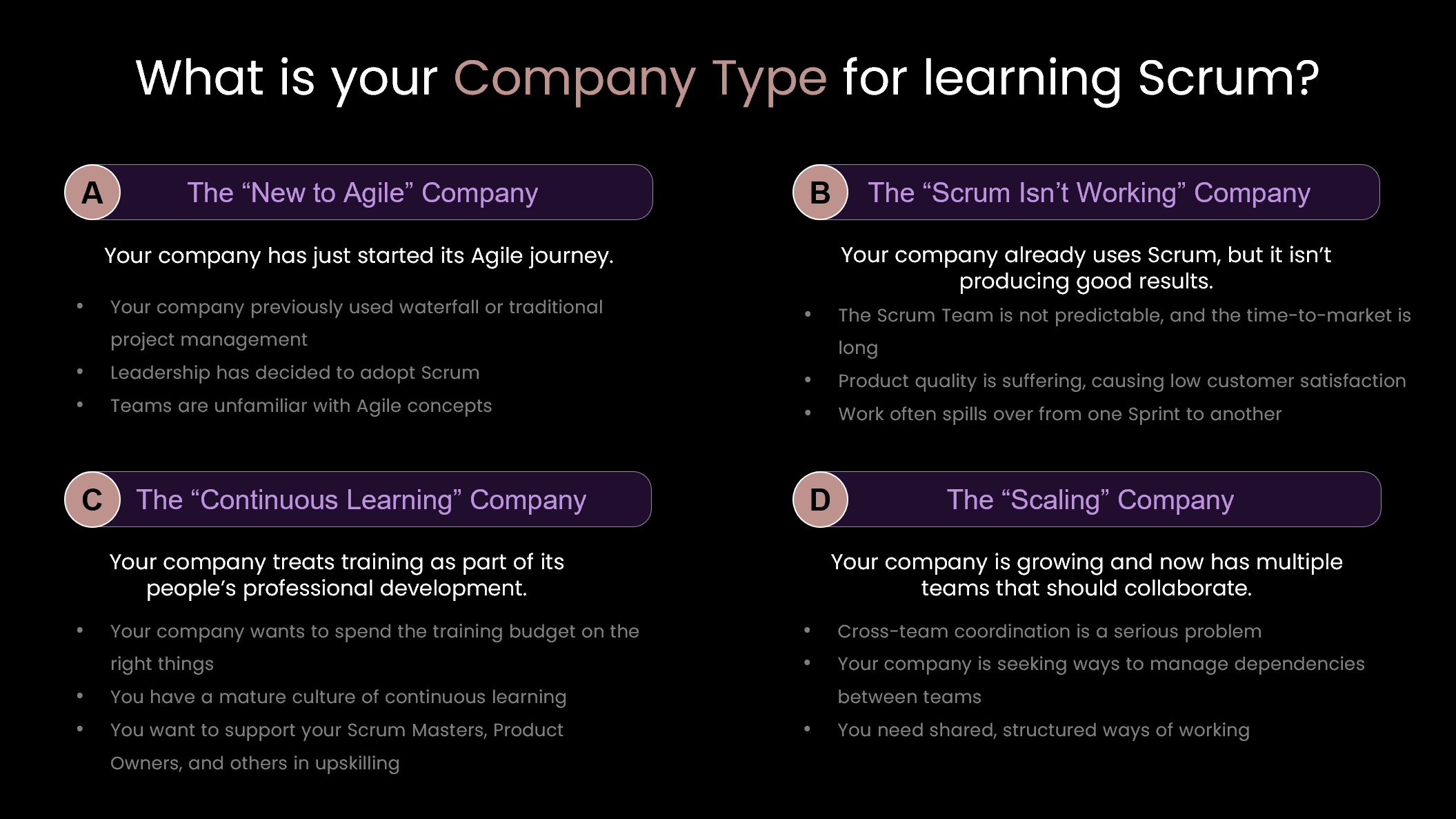 What is your Company Type for learning Scrum?