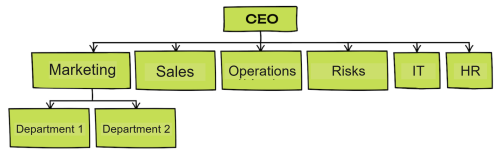 functional structure