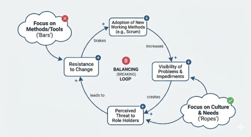 Sample Causal Loop Diagram
